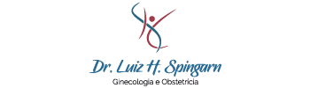 logotipo-luiz-spingarn-site